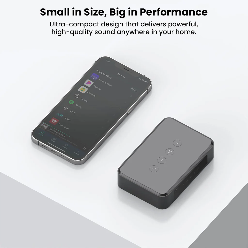 Arylic - LP10 Wireless Music Streamer with AirPlay 2, Multiroom Stereo - Image 14