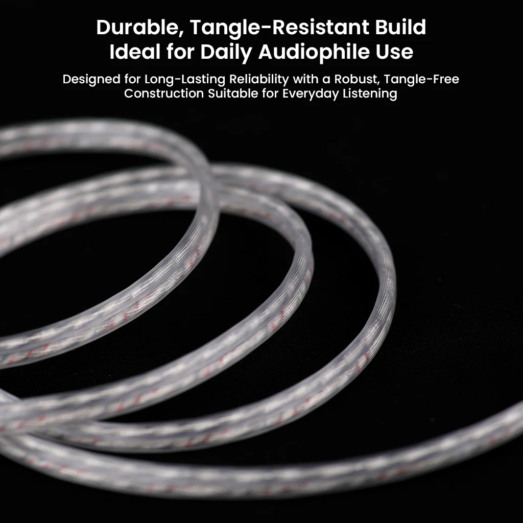AUDIOCULAR C18 Type-C IEM Upgrade Cable - Image 8