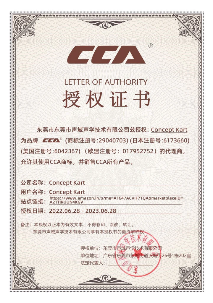 CCA - CA2 Wired IEM - Image 2