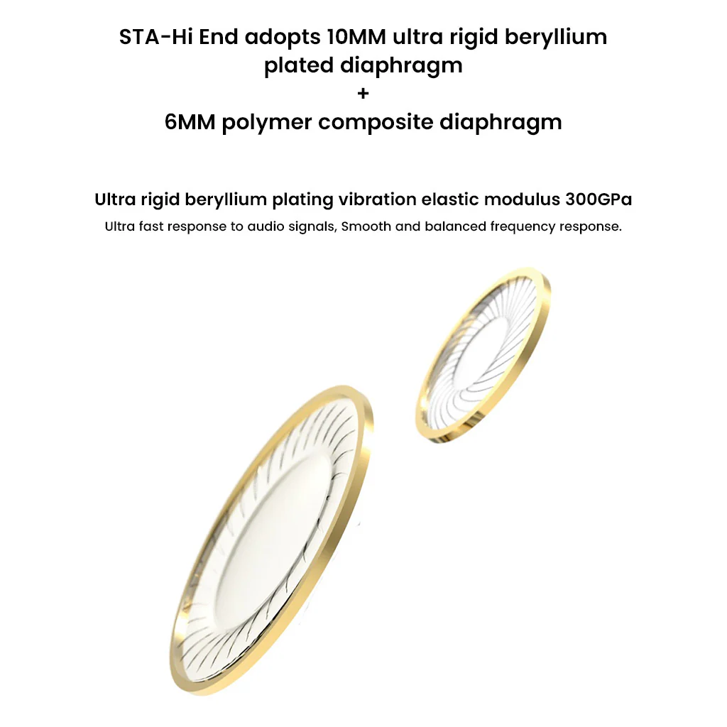 EarAcoustic Audio - STA-Hi End Dual Dynamic Driver IEM - Image 4