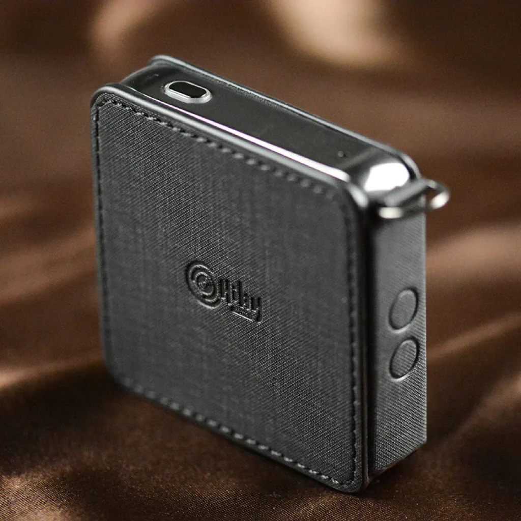 HiBy - CP105 R2 Leather Case - Image 7
