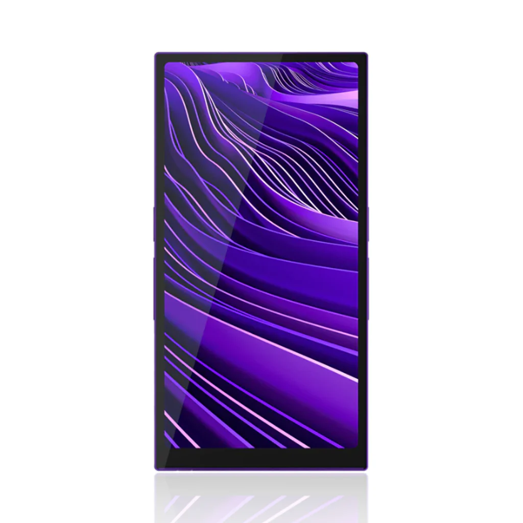 HiBy - R6 Pro II (Gen 2) Lossless HD Music Player - Image 9