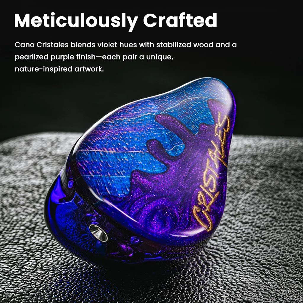 Hisenior - Cano Cristales 2DD+8BA Hybrid IEM - Image 10