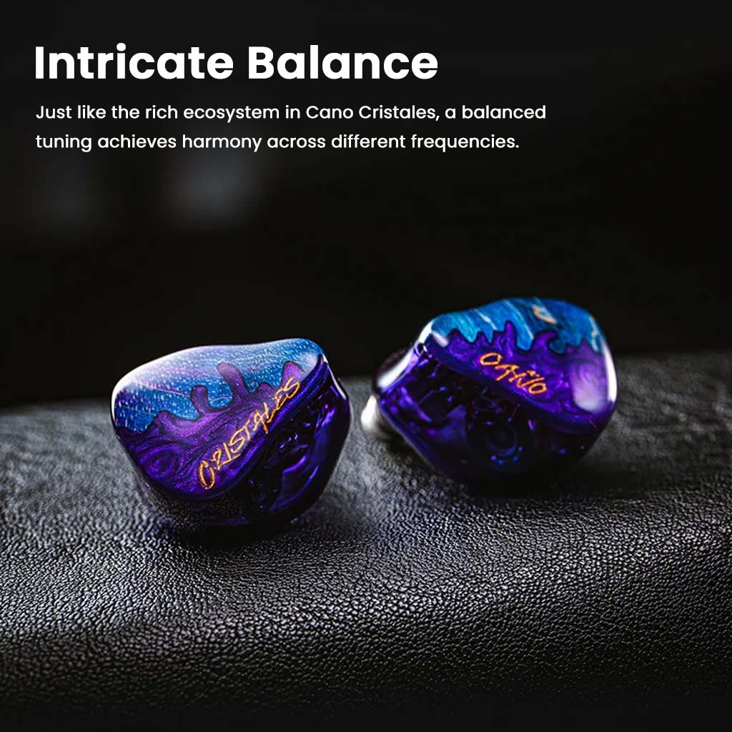 Hisenior - Cano Cristales 2DD+8BA Hybrid IEM - Image 5