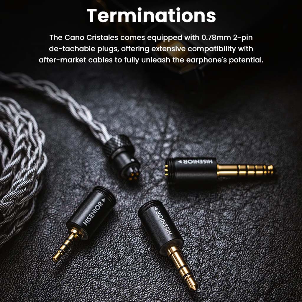 Hisenior - Cano Cristales 2DD+8BA Hybrid IEM - Image 8