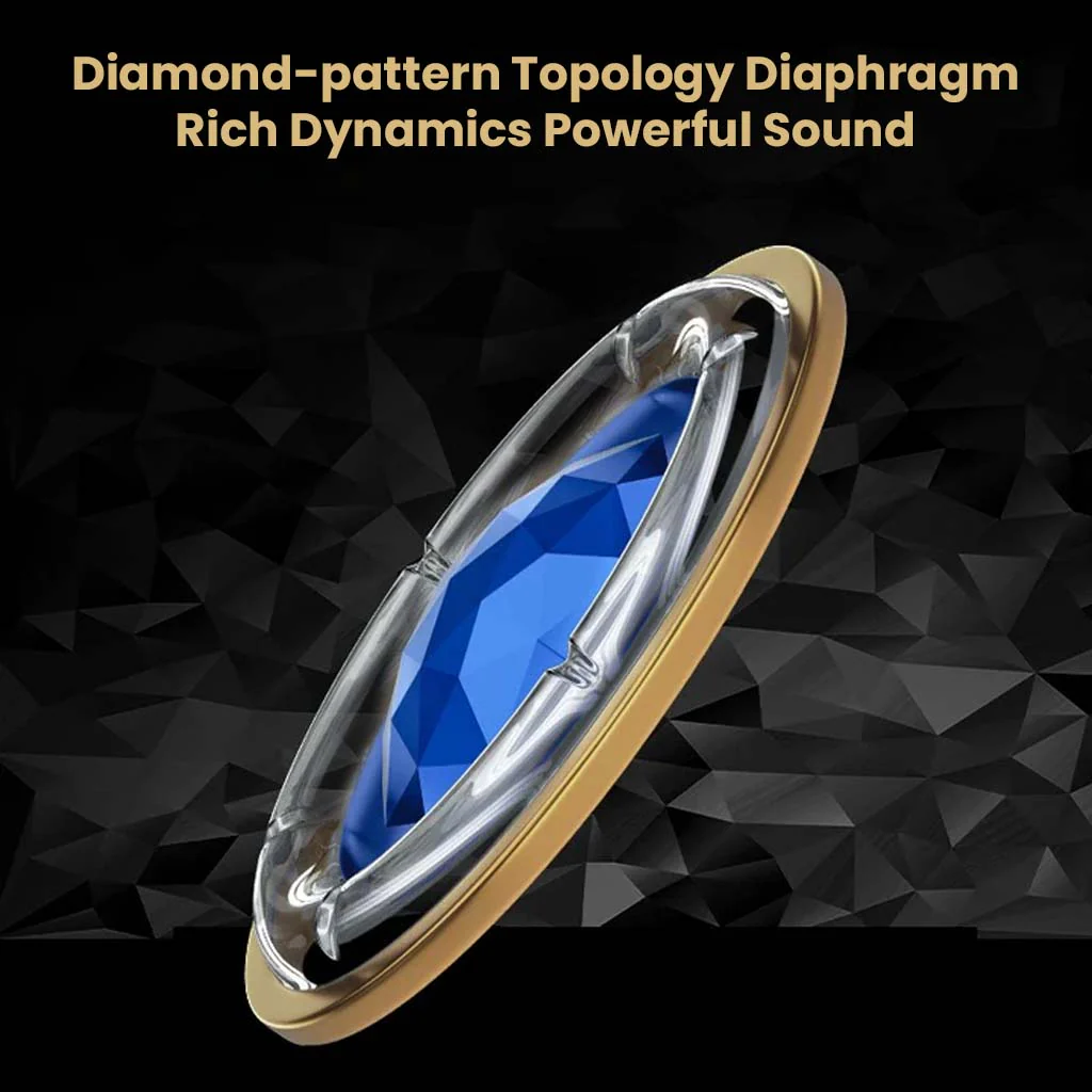 LETSHUOER DX1 Dynamic Driver IEM - Image 4