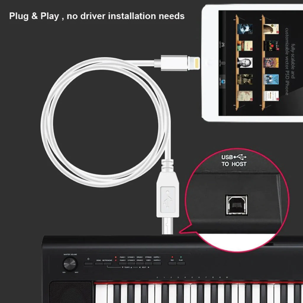 Meenova Lightning to USB-B Midi Cable for iPad/iPhone - Image 7