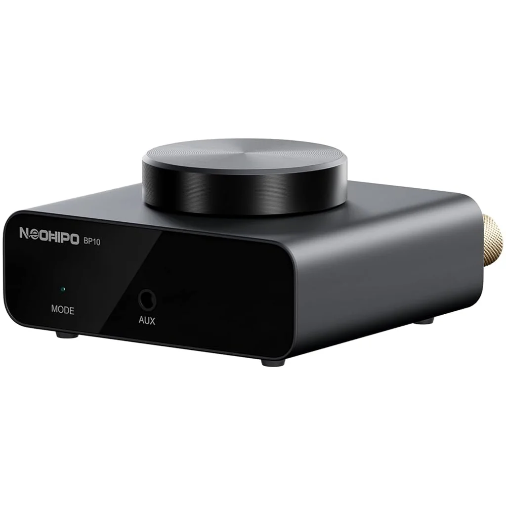 NEOHIPO- BP10 100W BT5.0 TPA3116 Stereo & Mono DAC/Amp