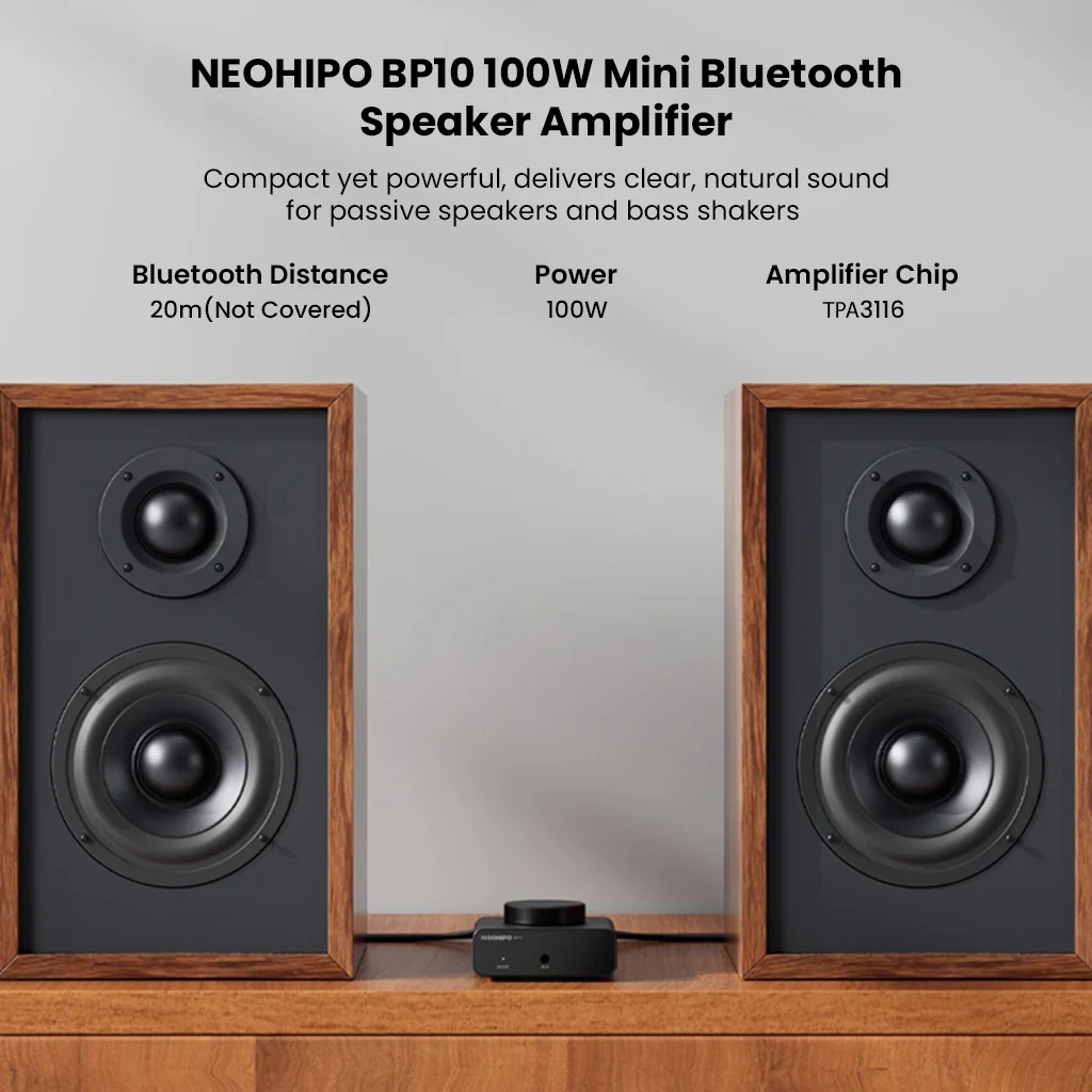 NEOHIPO- BP10 100W BT5.0 TPA3116 Stereo & Mono DAC/Amp - Image 10