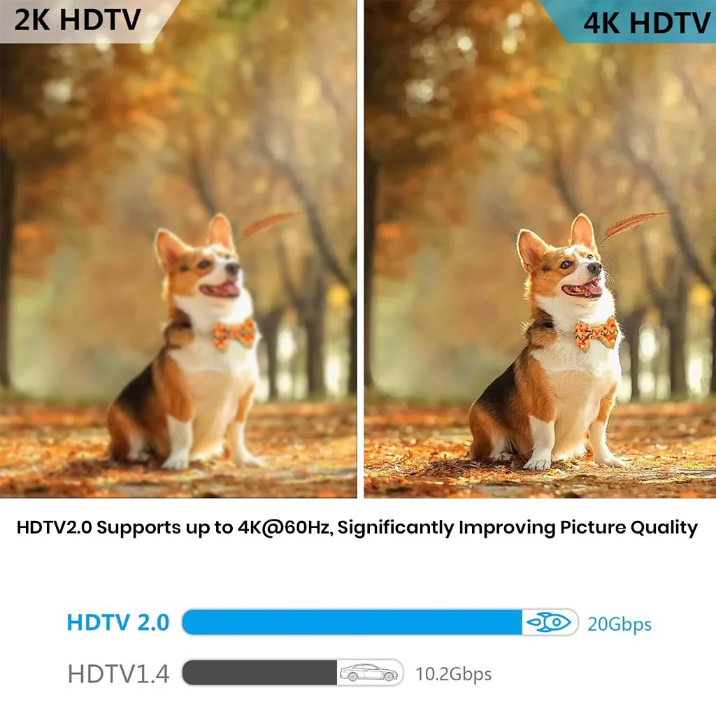 TECPHILE - 2-in-1 Type-C Male to HDMI 2.0  + Type-C 100W PD Female Adapter - Image 3
