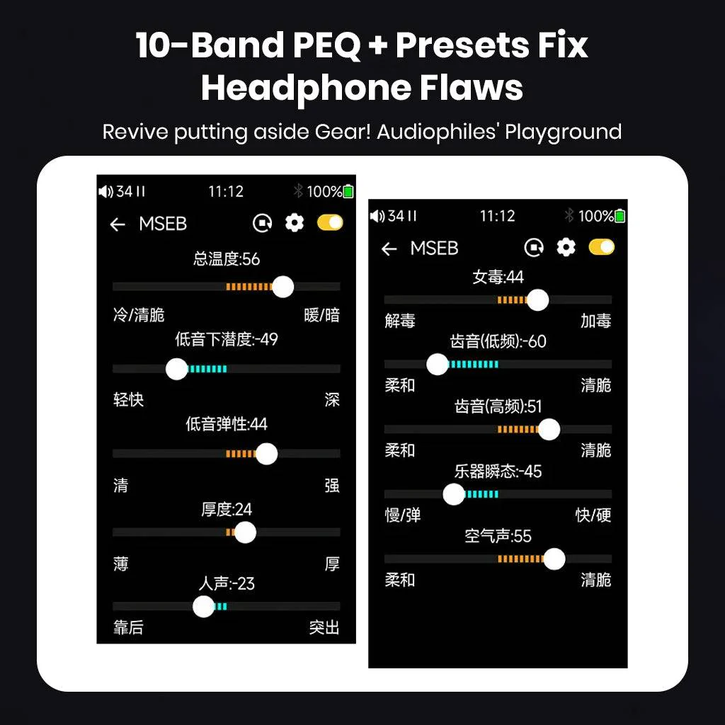 TempoTec - Variations V1 Dual CS43131 Hi-Res Music Player - Image 14